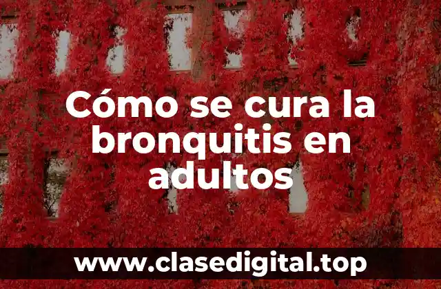 Causas de la bronquitis en adultos