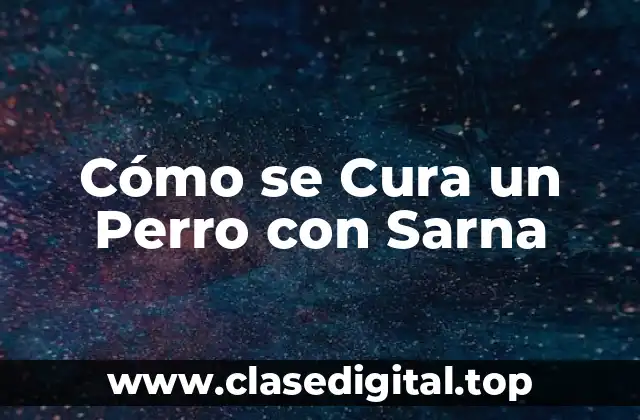 Cómo se Cura un Perro con Sarna