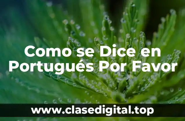 Como se Dice en Portugués Por Favor