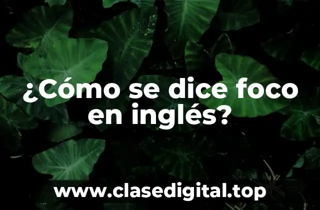 ¿Qué significa foco en español?