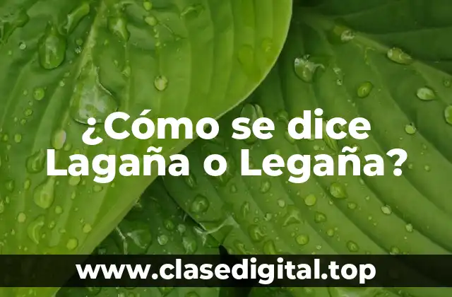 ¿Cómo se dice Lagaña o Legaña?