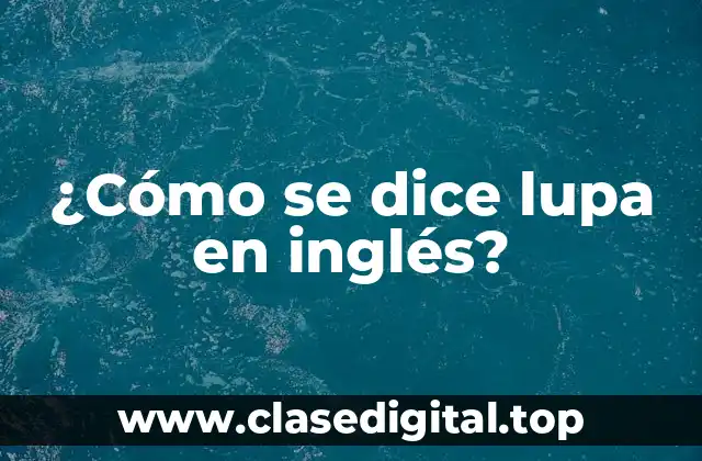 ¿Cómo se dice lupa en inglés?