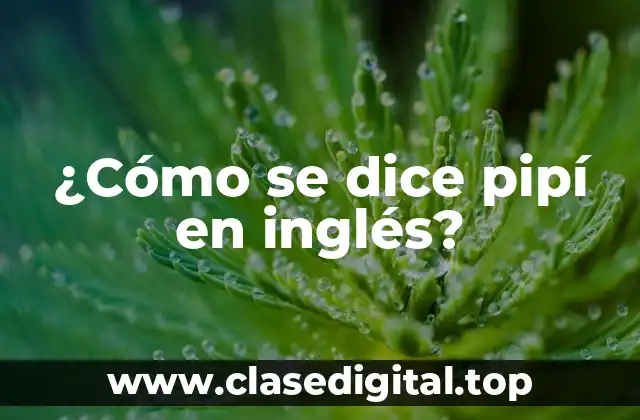 ¿Cómo se dice pipí en inglés?