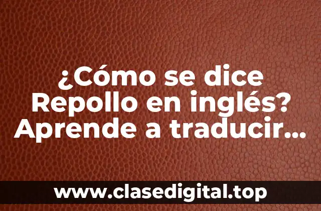 ¿Cómo se dice Repollo en inglés? Aprende a traducir esta verdura