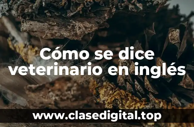 Cómo se dice veterinario en inglés
