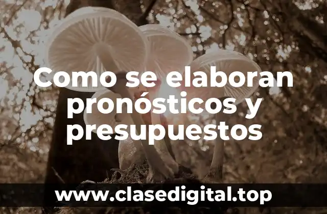 Como se elaboran pronósticos y presupuestos