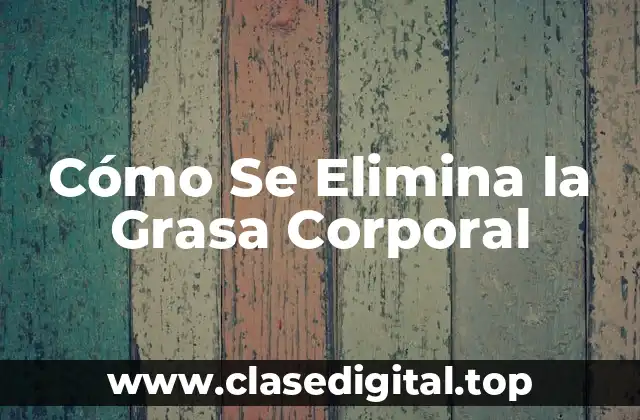 ¿Cuál es la Causa de la Grasa Corporal?