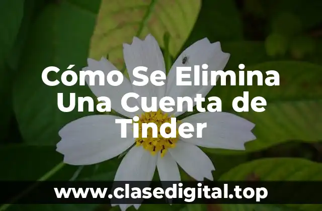 Cómo Se Elimina Una Cuenta de Tinder