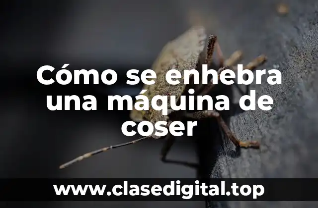 Cómo se enhebra una máquina de coser