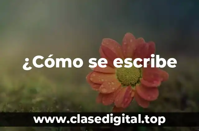 Orígenes y Evolución de Echar y Hechar