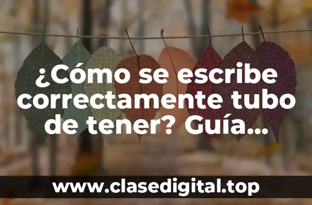 ¿Cómo se escribe correctamente tubo de tener? Guía práctica para resolver la duda
