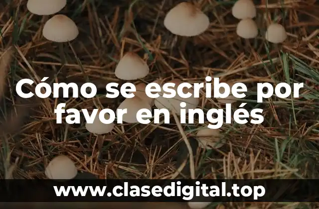 Cómo se escribe por favor en inglés