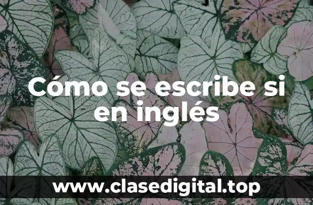 La forma básica de si en inglés