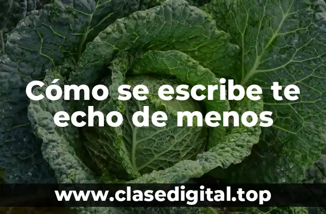 Cómo se escribe te echo de menos