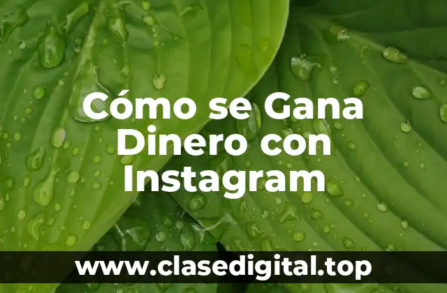 Cómo se Gana Dinero con Instagram