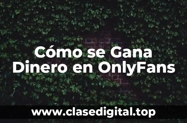 Cómo Funciona OnlyFans: Una Visión General