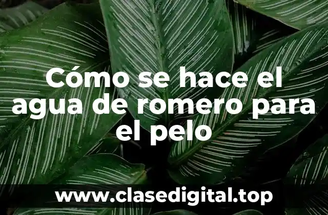 Cómo se hace el agua de romero para el pelo