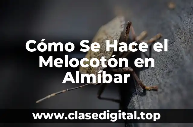 Cómo Se Hace el Melocotón en Almíbar