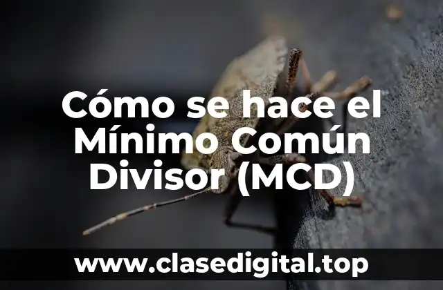 Cómo se hace el Mínimo Común Divisor (MCD)
