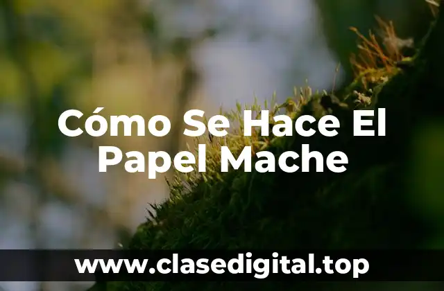 Cómo Se Hace El Papel Mache