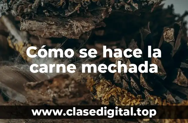 Orígenes de la carne mechada