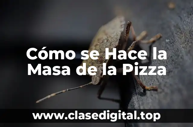 Cómo se Hace la Masa de la Pizza