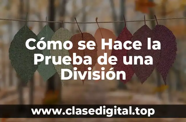 ¿Qué es la Prueba de División?