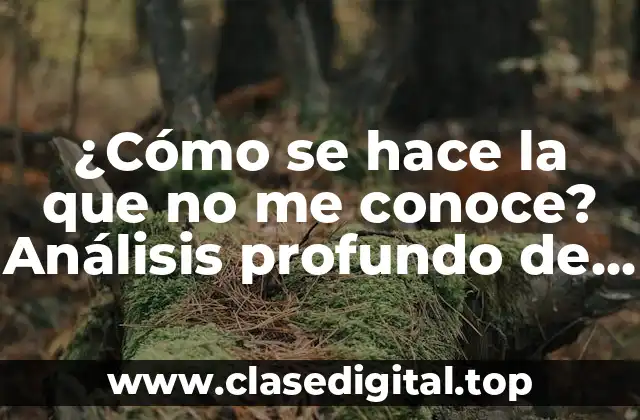 ¿Cómo se hace la que no me conoce? Análisis profundo de la ignorancia