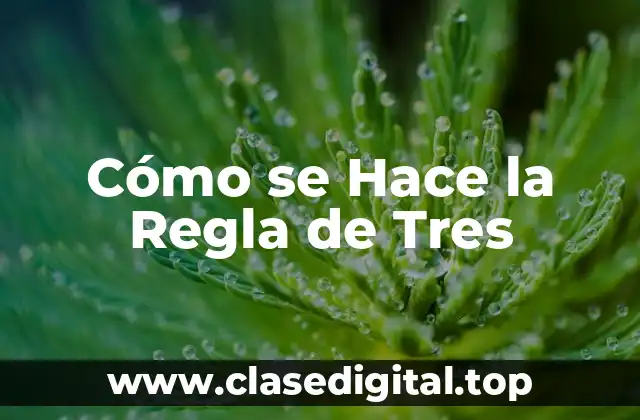 Cómo se Hace la Regla de Tres