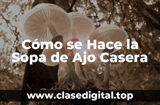 Cómo se Hace la Sopa de Ajo Casera
