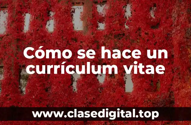 Importancia de un buen currículum vitae