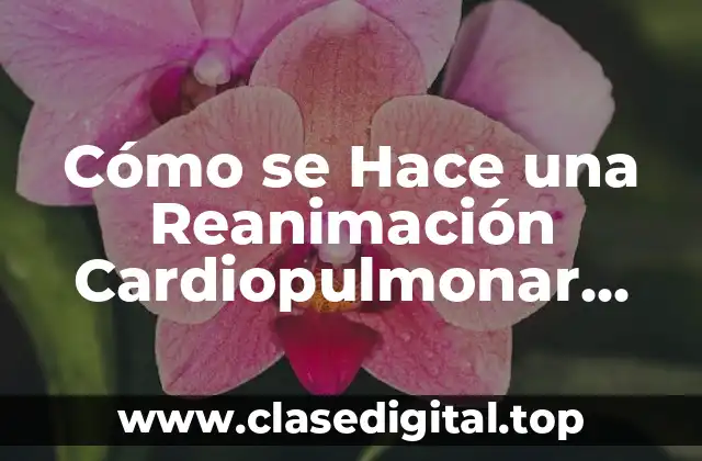 Cómo se Hace una Reanimación Cardiopulmonar (RCP)