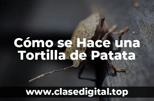 Orígenes y Variaciones de la Tortilla de Patata