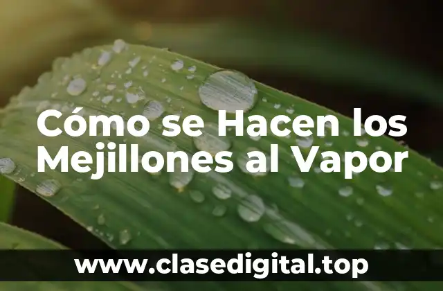 Cómo se Hacen los Mejillones al Vapor
