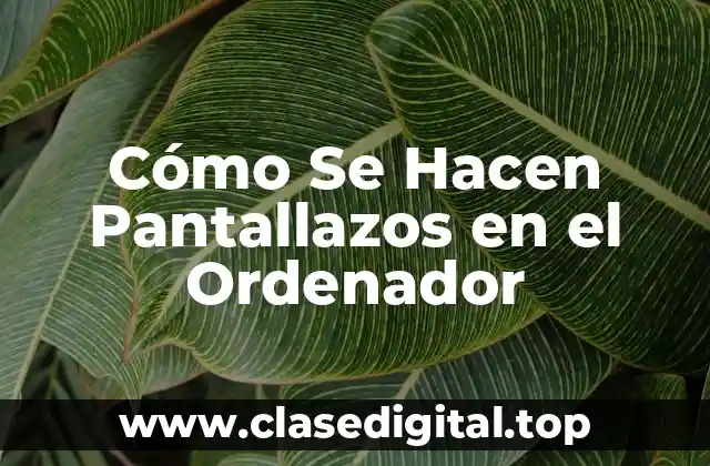 Cómo Se Hacen Pantallazos en el Ordenador