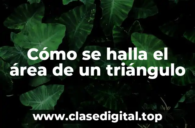 ¿Qué es el área de un triángulo?