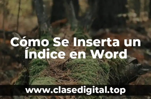 Cómo Se Inserta un Índice en Word