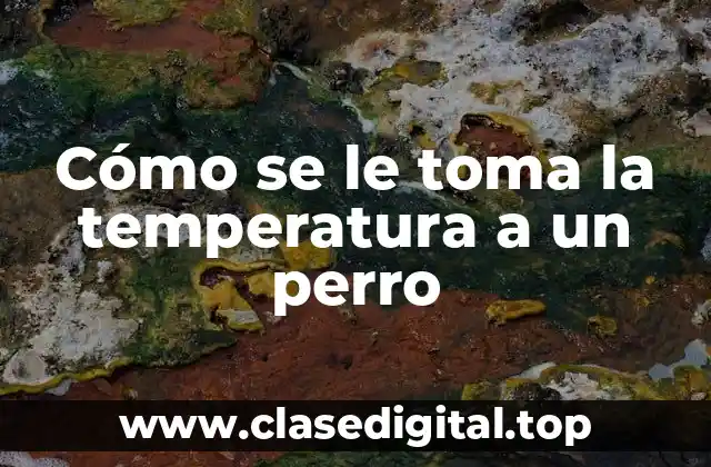 Cómo se le toma la temperatura a un perro