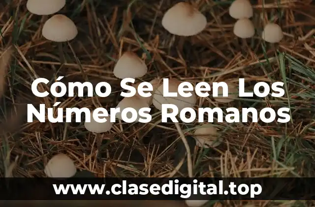 Cómo Se Leen Los Números Romanos