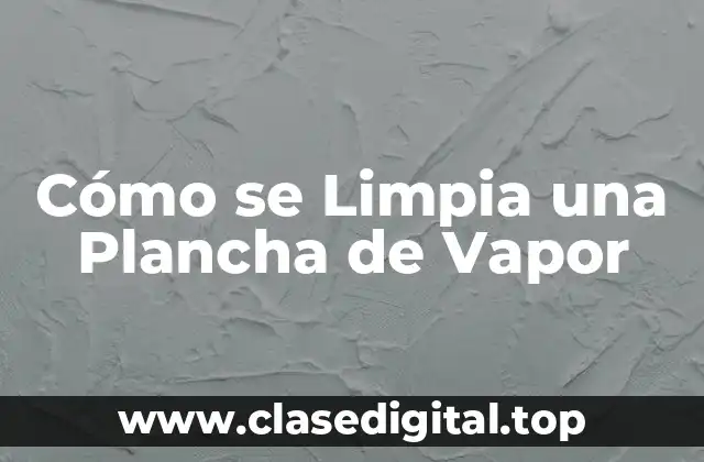 Cómo se Limpia una Plancha de Vapor