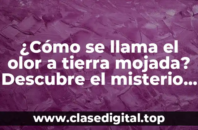 ¿Cómo se llama el olor a tierra mojada? Descubre el misterio detrás del aroma de la naturaleza