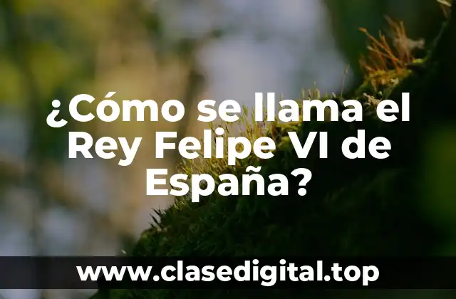 ¿Cómo se llama el Rey Felipe VI de España?