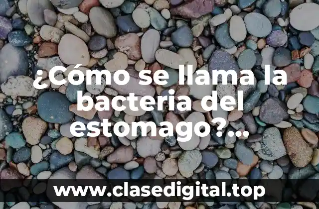 ¿Cómo se llama la bacteria del estomago? Helicobacter pylori