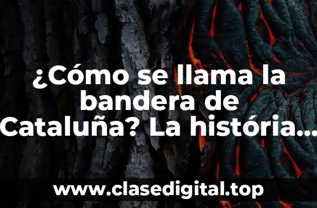 ¿Cómo se llama la bandera de Cataluña? La história y el significado detrás de la Senyera