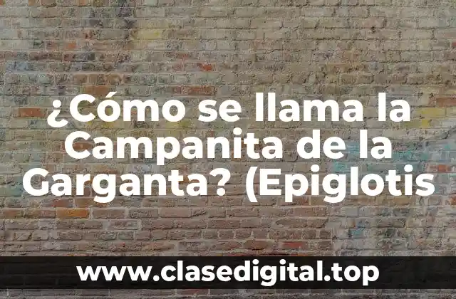 ¿Cómo se llama la Campanita de la Garganta? (Epiglotis