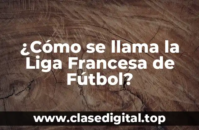 ¿Cómo se llama la Liga Francesa de Fútbol?