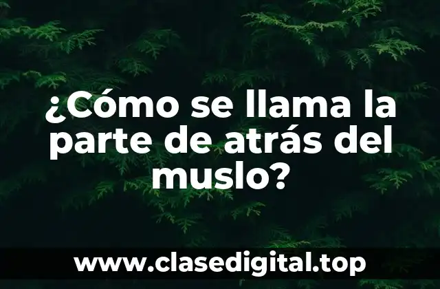 ¿Cómo se llama la parte de atrás del muslo?