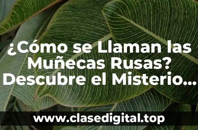 ¿Cómo se Llaman las Muñecas Rusas? Descubre el Misterio de las Muñecas Matrioska