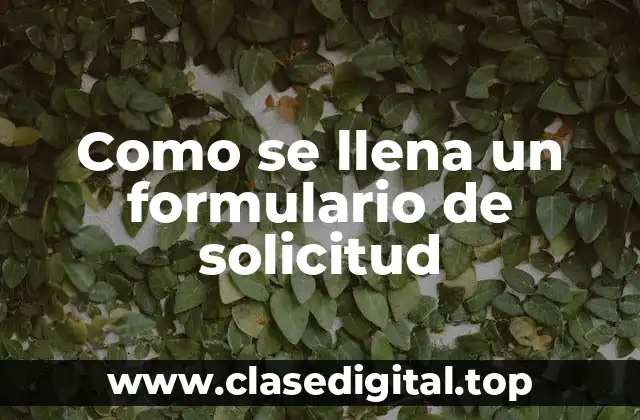 Como se llena un formulario de solicitud