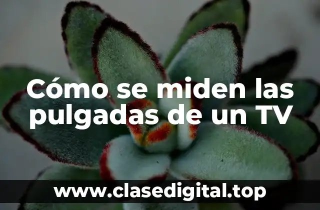 Cómo se miden las pulgadas de un TV